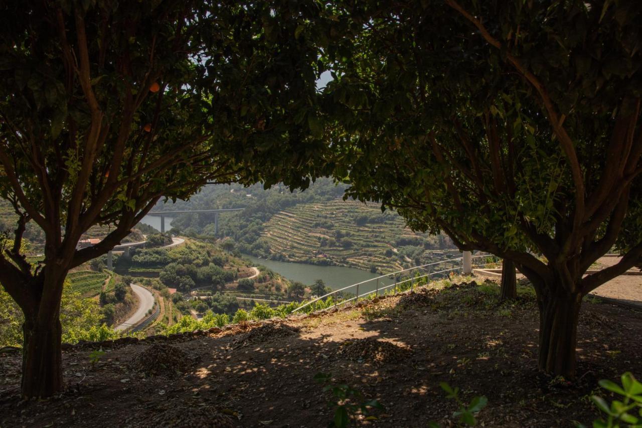 Apartmán Quinta Da Granja Baião Exteriér fotografie
